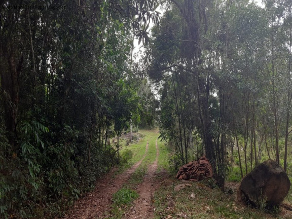 Imagem Terreno à Venda, 1 m² em Fazenda Pirajá - Nova Petrópolis Imagem Terreno à Venda, 1 m² em Fazenda Pirajá - Nova Petrópolis