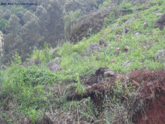 Terreno à Venda, 697 m² em Piá - Nova Petrópolis