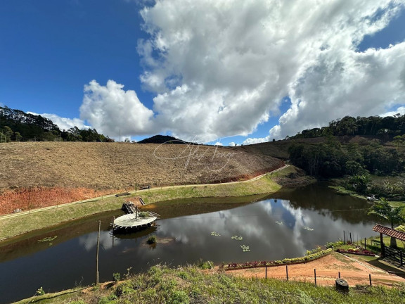Imagem Fazenda à Venda, 10.000 m² em Santa Teresa - Santa Teresa