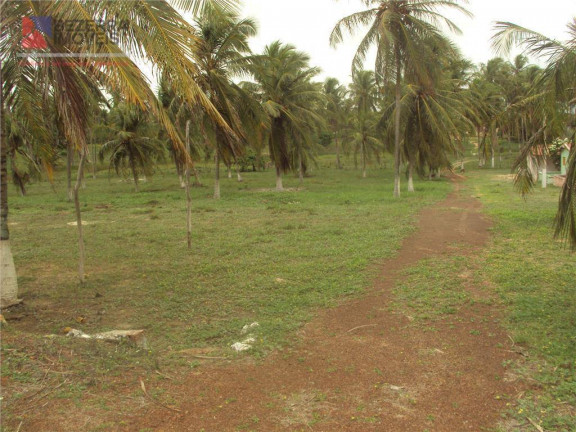 Imagem Fazenda à Venda, 543.221 m² em Touros - Touros
