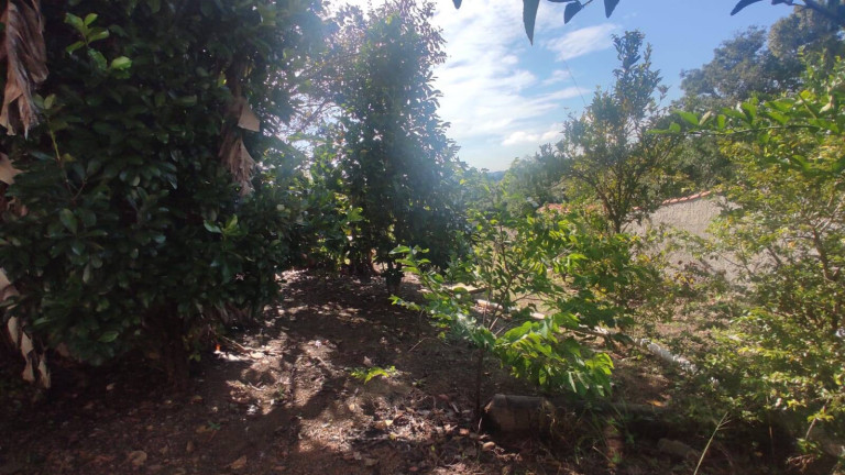 Imagem Chácara com 3 Quartos à Venda, 1.020 m² em Trevo Da Entrada Do Cercado - Araçoiaba Da Serra Imagem Chácara com 3 Quartos à Venda, 1.020 m² em Trevo Da Entrada Do Cercado - Araçoiaba Da Serra