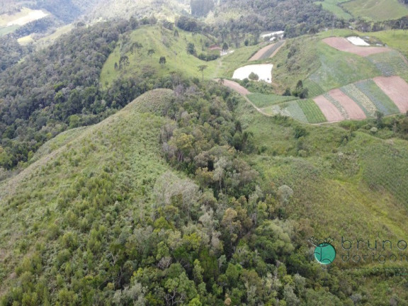 Imagem Imóvel com 2 Quartos à Venda, 225.000 m² em Zona Rural - Bom Retiro