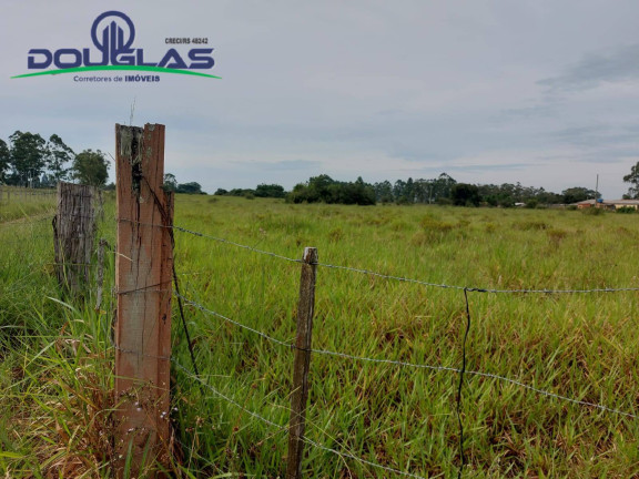 Imagem Chácara à Venda, em Viamão Imagem Chácara à Venda, em Viamão