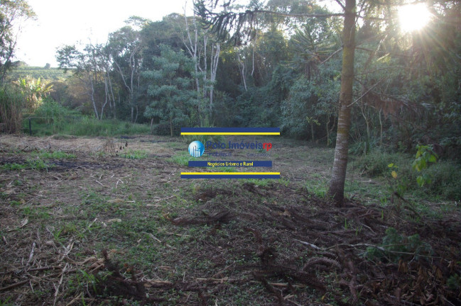 Imagem Imóvel com 1 Quarto à Venda, 19.700 m² em Campestre - Muzambinho Imagem Imóvel com 1 Quarto à Venda, 19.700 m² em Campestre - Muzambinho