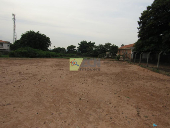 Imagem Terreno para Alugar, 6.000 m² em Chácara Bela Vista - Sumaré Imagem Terreno para Alugar, 6.000 m² em Chácara Bela Vista - Sumaré