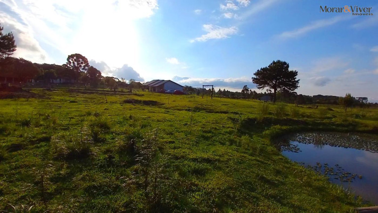 Imagem Imóvel à Venda, 32.800 m² em Ambrósio - Tijucas Do Sul