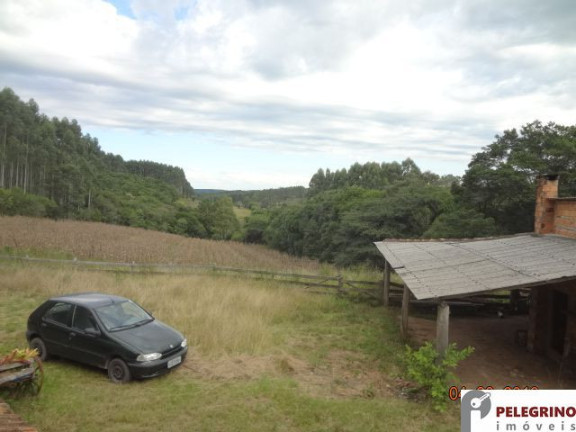 Imagem Imóvel com 3 Quartos à Venda, 45.000 m² em Zona Rural - Sentinela Do Sul Imagem Imóvel com 3 Quartos à Venda, 45.000 m² em Zona Rural - Sentinela Do Sul
