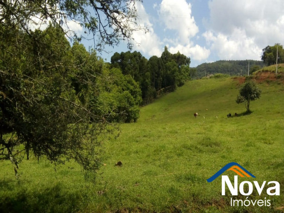 Imagem Imóvel à Venda, em Nove Colônias - Nova Petrópolis Imagem Imóvel à Venda, em Nove Colônias - Nova Petrópolis