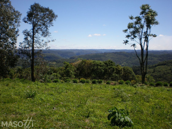Terreno à Venda, 1.400 m² em Mato Queimado - Gramado