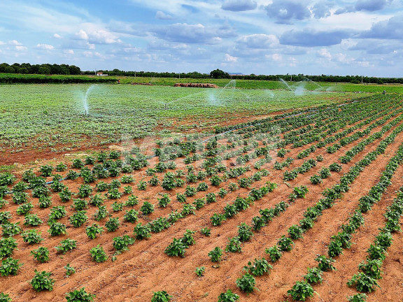 Imagem Fazenda à Venda, em área Rual - Petrolina Imagem Fazenda à Venda, em área Rual - Petrolina