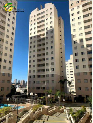 Imagem Apartamento com 2 Quartos à Venda, 50 m² em Imirim - São Paulo