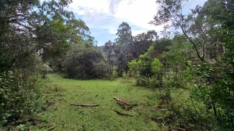 Imagem Imóvel com 3 Quartos à Venda, 11 m² em Olaria - Bocaiúva Do Sul