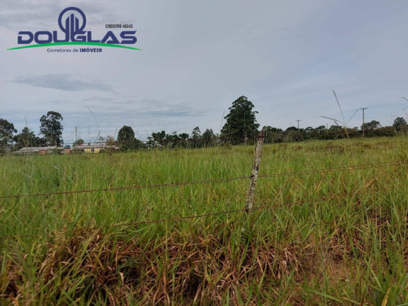 Imagem Chácara à Venda, em Viamão Imagem Chácara à Venda, em Viamão