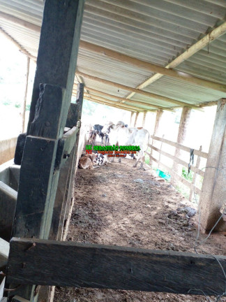 Imagem Chácara à Venda, 14 m² em área Rural De Guaratinguetá - Guaratinguetá Imagem Chácara à Venda, 14 m² em área Rural De Guaratinguetá - Guaratinguetá