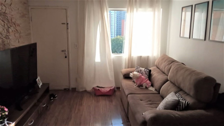 Imagem Apartamento com 2 Quartos à Venda, 55 m² em Real Parque - São Paulo