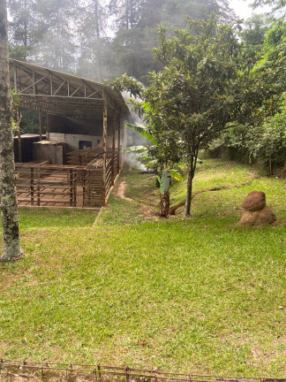 Imagem Casa com 3 Quartos à Venda, 7.800 m² em Mairiporã Imagem Casa com 3 Quartos à Venda, 7.800 m² em Mairiporã