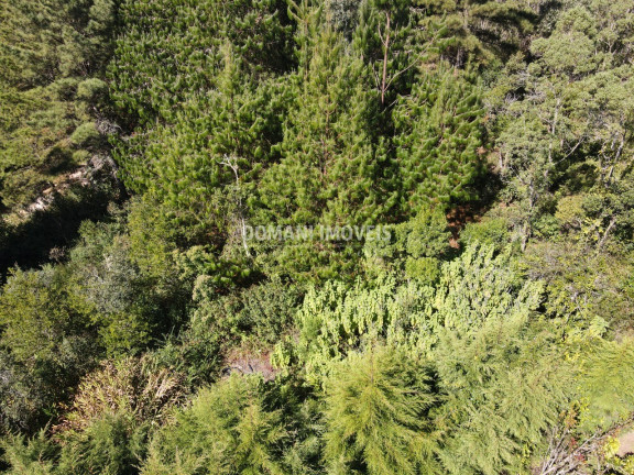 Imagem Terreno à Venda, 1.090 m² em Região Do Alto Do Capivari - Campos Do Jordão Imagem Terreno à Venda, 1.090 m² em Região Do Alto Do Capivari - Campos Do Jordão