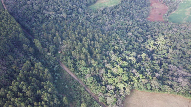 Imagem Terreno à Venda, 49.381 m² em Interior - Concórdia Imagem Terreno à Venda, 49.381 m² em Interior - Concórdia