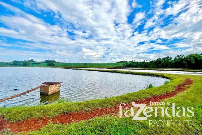 Imagem Fazenda à Venda, 187.200 m² em Vila Nova - Toledo