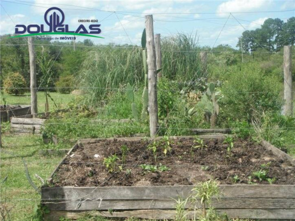 Imagem Chácara com 3 Quartos à Venda, 109 m² em Passo Vigário - Viamão