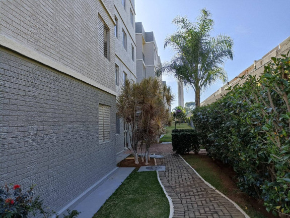 Imagem Apartamento com 2 Quartos para Alugar, 50 m² em Parque Jambeiro - Campinas Imagem Apartamento com 2 Quartos para Alugar, 50 m² em Parque Jambeiro - Campinas