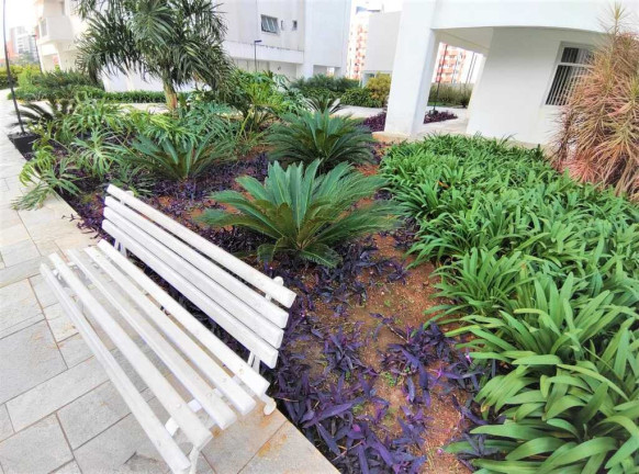 Imagem Apartamento com 3 Quartos à Venda, 78 m² em Santana - São Paulo