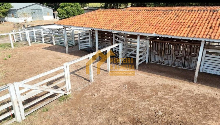 Imagem Fazenda à Venda, em Vale San Fernando - Itapetininga Imagem Fazenda à Venda, em Vale San Fernando - Itapetininga