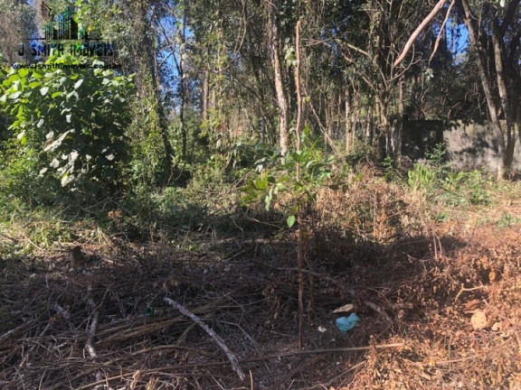 Imagem Terreno em Condomínio à Venda, 500 m² em Paisagem Renoir - Cotia Imagem Terreno em Condomínio à Venda, 500 m² em Paisagem Renoir - Cotia