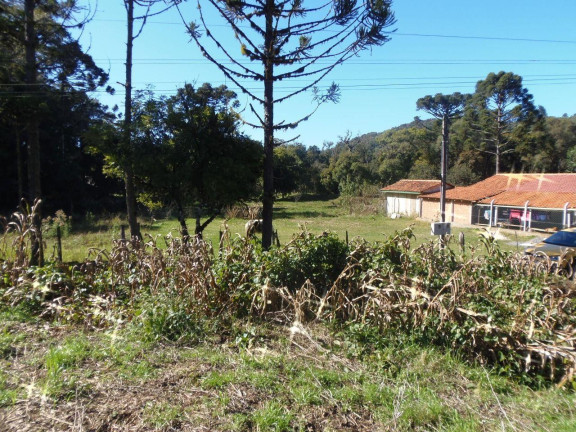 Imagem Terreno à Venda, 515 m² em Bateias - Campo Largo Imagem Terreno à Venda, 515 m² em Bateias - Campo Largo