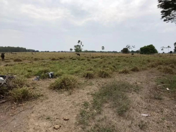 Imagem Fazenda à Venda, 1 m² em Zona Rural - Sinop Imagem Fazenda à Venda, 1 m² em Zona Rural - Sinop