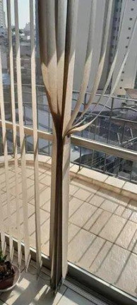 Imagem Apartamento com 2 Quartos à Venda, 62 m² em Alto Da Mooca - São Paulo Imagem Apartamento com 2 Quartos à Venda, 62 m² em Alto Da Mooca - São Paulo