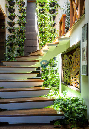 Imagem Casa com 6 Quartos à Venda, 724 m² em Vila De São Fernando - Cotia