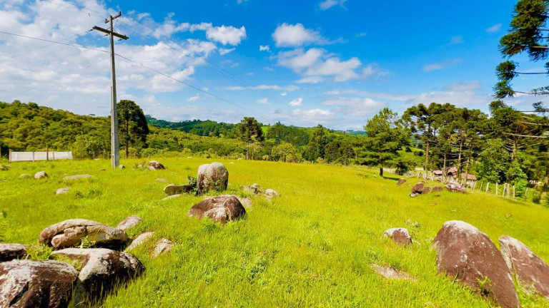 Imagem Chácara à Venda, 9.700 m² em Rio Da Várzea - Quitandinha Imagem Chácara à Venda, 9.700 m² em Rio Da Várzea - Quitandinha