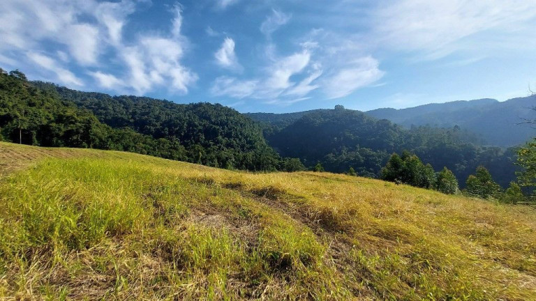 Imagem Terreno à Venda, 198.000 m² em Zona Rural - Presidente Nereu Imagem Terreno à Venda, 198.000 m² em Zona Rural - Presidente Nereu