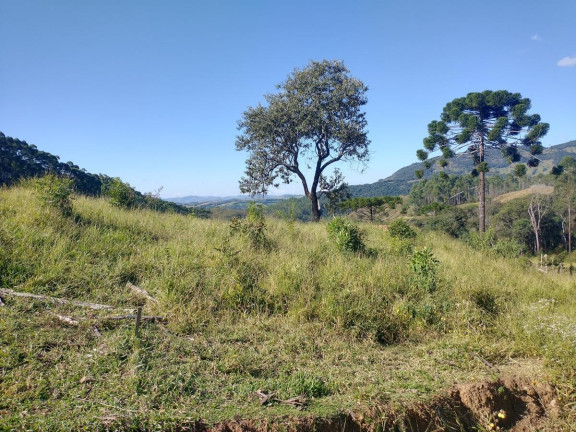 Imagem Chácara à Venda, 1.000 m² em Pocinhos Do Rio Verde - Caldas Imagem Chácara à Venda, 1.000 m² em Pocinhos Do Rio Verde - Caldas