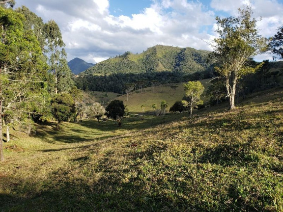 Imóvel à Venda,  em Zona Rural - Bom Retiro