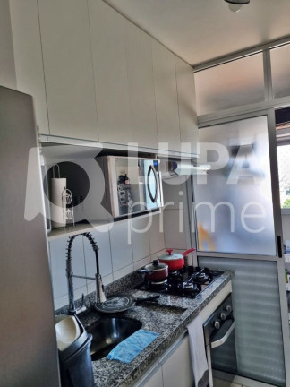 Imagem Apartamento com 3 Quartos à Venda, 70 m² em Vila Maria - São Paulo Imagem Apartamento com 3 Quartos à Venda, 70 m² em Vila Maria - São Paulo