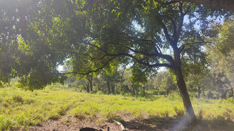 Imagem Chácara à Venda, 35 m² em édem - Sorocaba Imagem Chácara à Venda, 35 m² em édem - Sorocaba