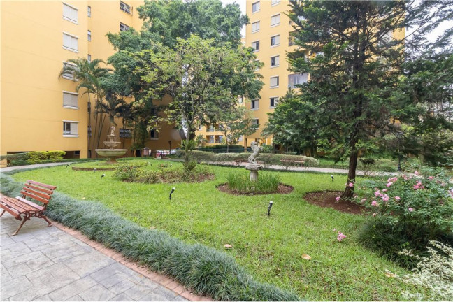 Imagem Apartamento com 3 Quartos à Venda, 64 m² em Vila Sônia - São Paulo