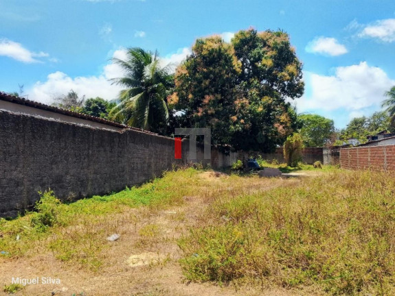 Imagem Terreno à Venda, 530 m² em São José - Macaíba Imagem Terreno à Venda, 530 m² em São José - Macaíba