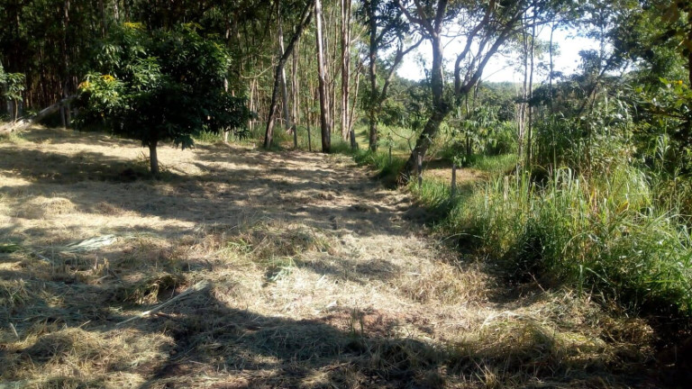 Terreno à Venda, 2 m² em Morro Grande Da Boa Vista - Bragança Paulista