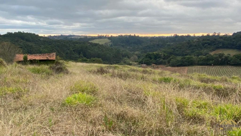 Imagem Terreno à Venda, 27.000 m² em Campo Largo - Jarinu Imagem Terreno à Venda, 27.000 m² em Campo Largo - Jarinu