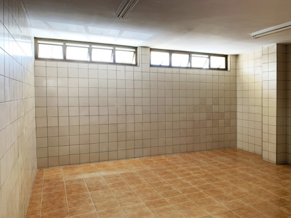 Imagem Galpão para Alugar, 1.233 m² em Vila Palmeiras - São Paulo