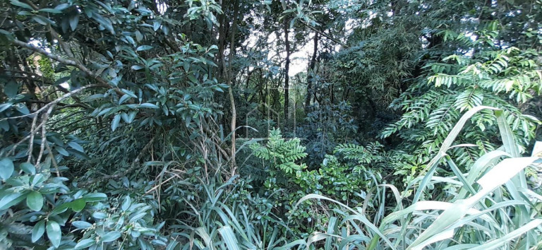 Imagem Terreno à Venda, 2.024 m² em Vargem Grande - Florianópolis Imagem Terreno à Venda, 2.024 m² em Vargem Grande - Florianópolis