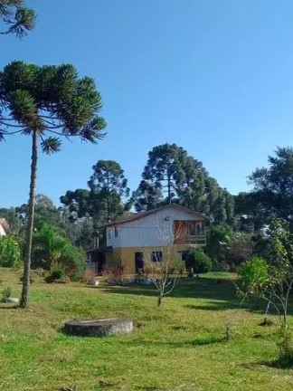 Imagem Imóvel com 7 Quartos à Venda, 32.000 m² em Centro - Tijucas Do Sul