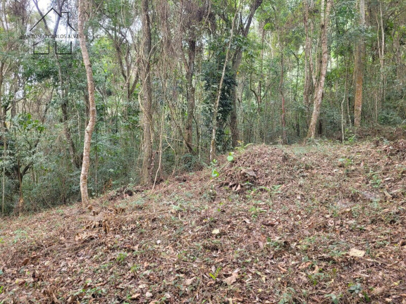 Imagem Chácara à Venda, 56 m² em Cachoeira Abaixo - Piracaia Imagem Chácara à Venda, 56 m² em Cachoeira Abaixo - Piracaia
