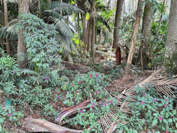 Imagem Chácara com 2 Quartos à Venda, 6.484 m² em Núcleo Sampaio Vidal - Mauá