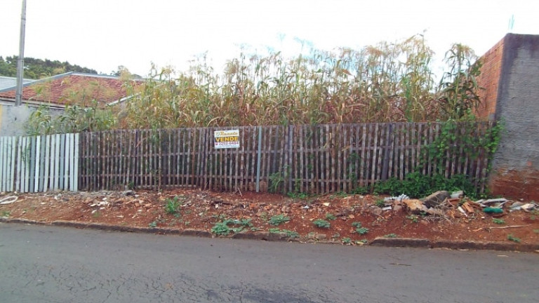 Imagem Terreno à Venda, 300 m² em Jardim Paulista - Arapongas Imagem Terreno à Venda, 300 m² em Jardim Paulista - Arapongas