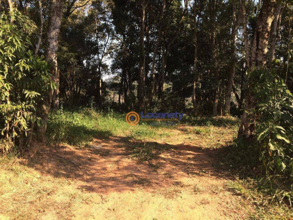 Terreno à Venda, 6.500 m² em Vila Bonita (santa Luzia) - Ribeirão Pires