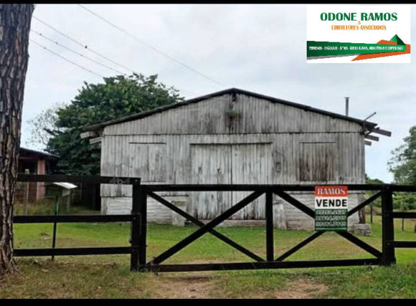 Chácara com 1 Quarto à Venda, 1.950 m² em Nova Santa Rita